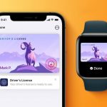 apple-wallet-drivers-license-feature